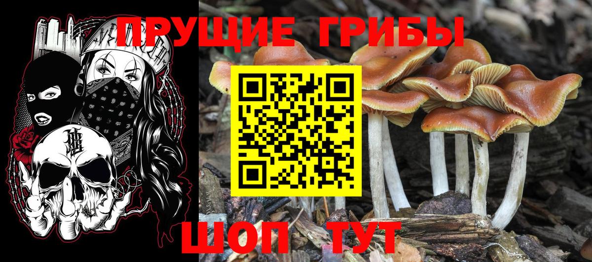 Прокопьевск  Псилоцибиновые грибы Magic Shrooms  Вход с VPN 