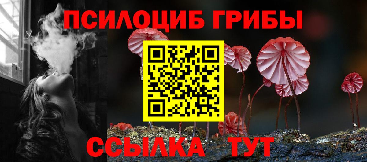 Псилоцибиновые грибы Psilocybe Прокопьевск